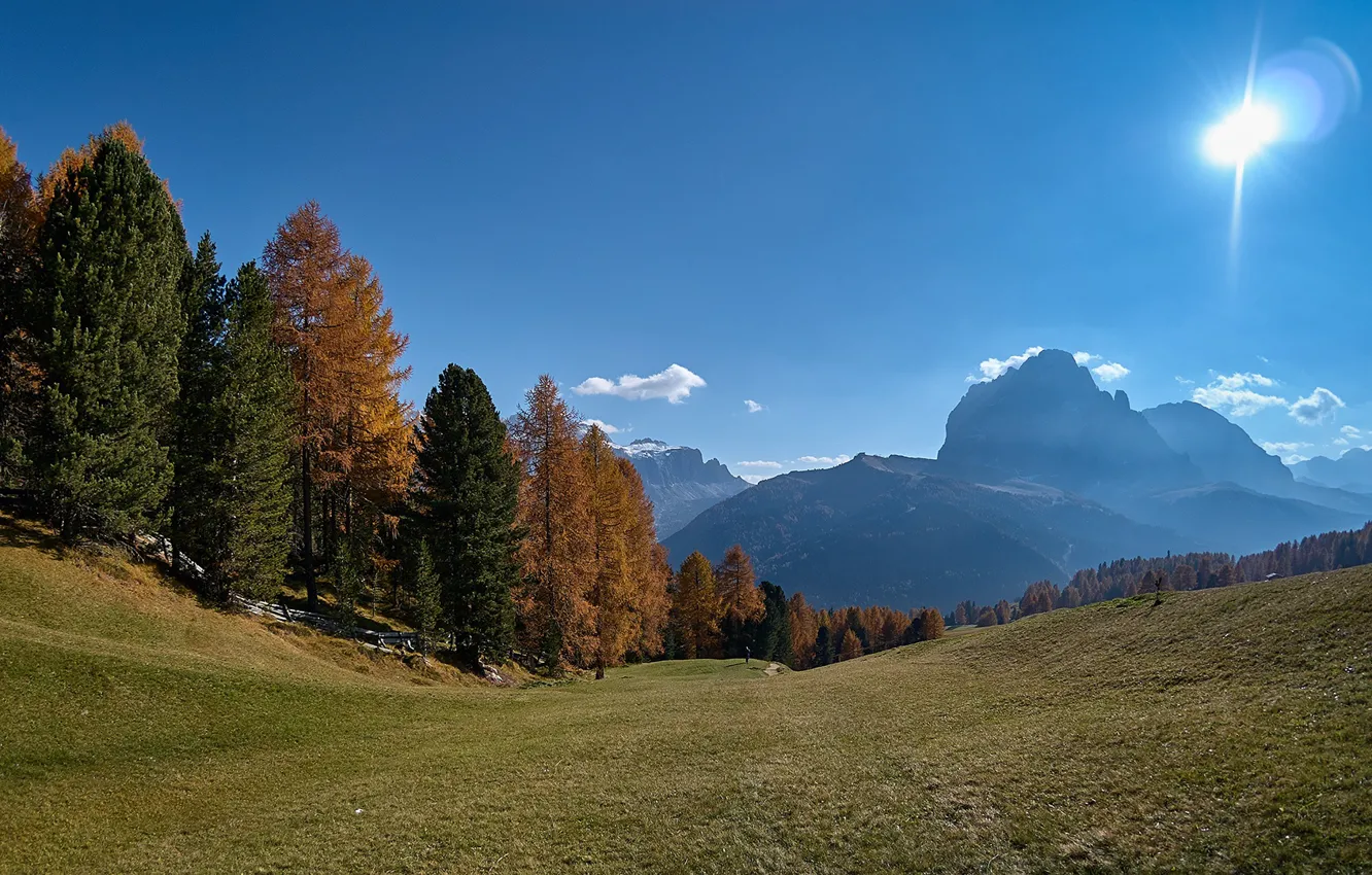Фото обои осень, лес, небо, солнце, деревья, горы, склон, Альпы