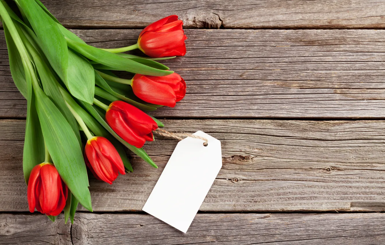 Фото обои любовь, цветы, букет, тюльпаны, red, love, wood, flowers