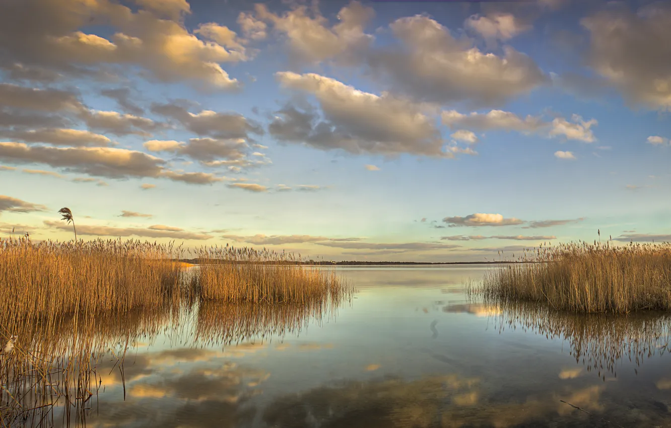 Фото обои облака, озеро, камыши, Природа, nature, clouds, lake