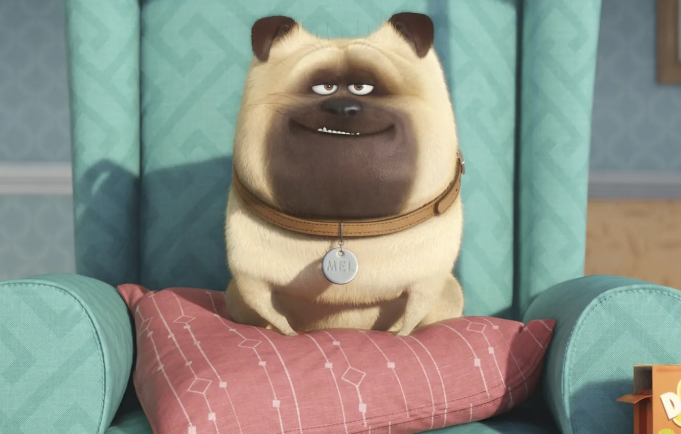 Фото обои cinema, puppy, smile, dog, cartoon, movie, animal, living room