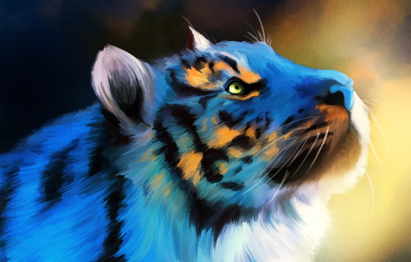 Фото обои тигр, фон, голубой, рисунок, голова