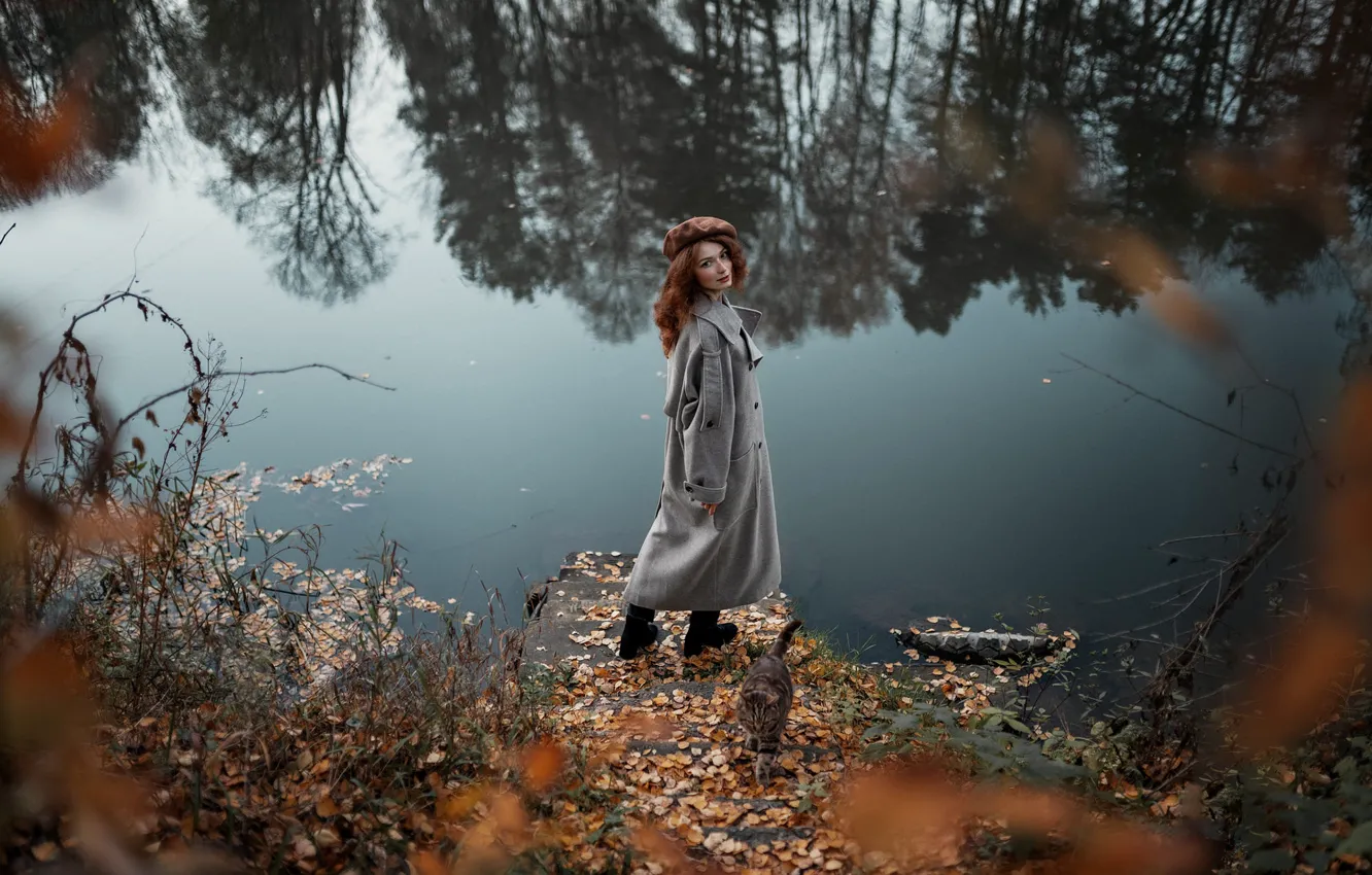 Фото обои осень, лес, кошка, кот, взгляд, девушка, ветки, природа