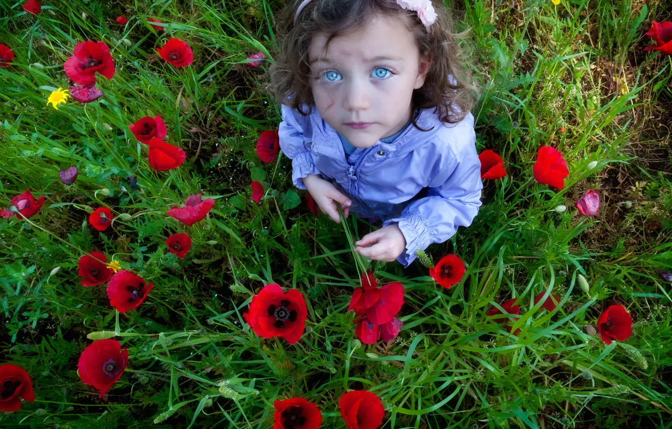 Фото обои цветы, маки, девочка, голубоглазая