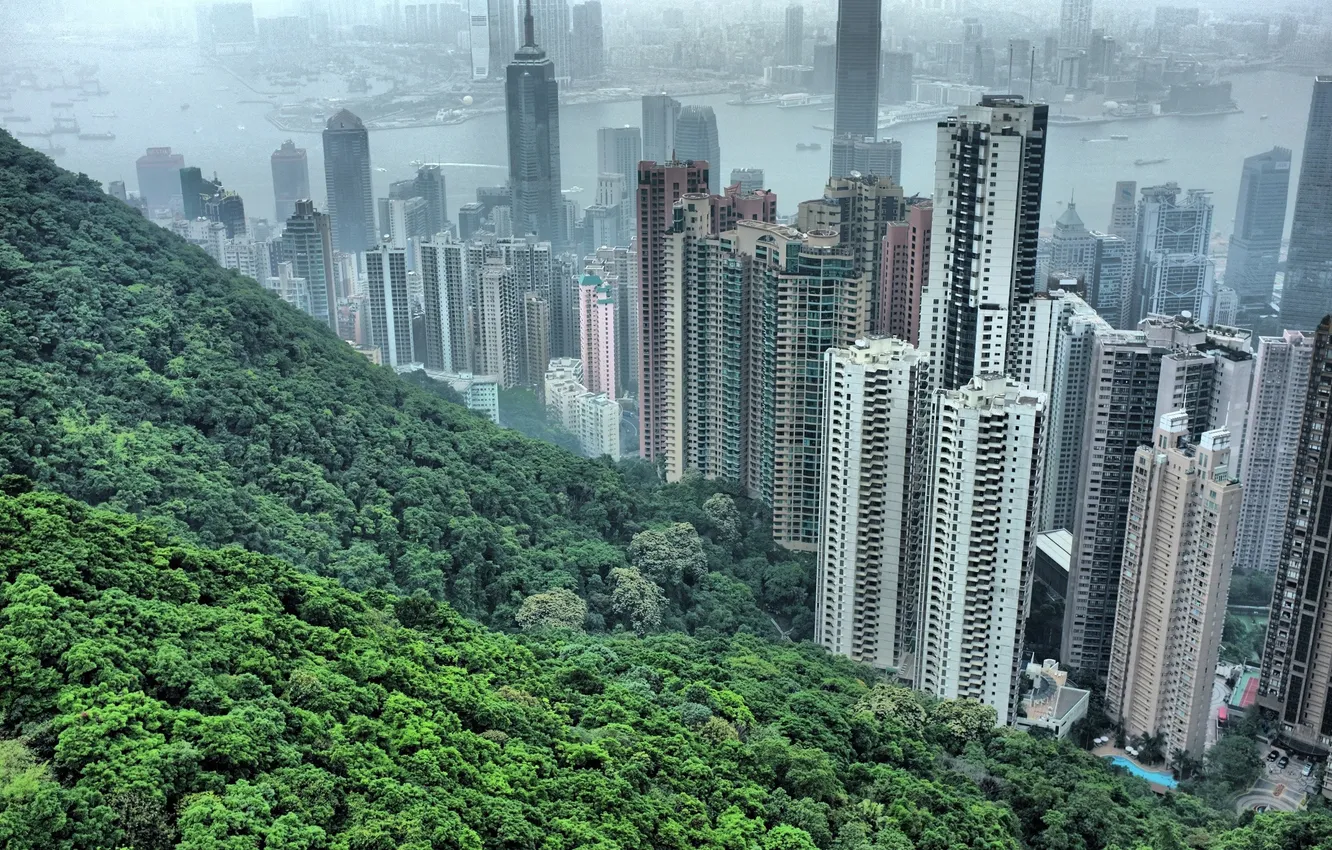 Фото обои деревья, китай, дома, небоскрёбы, china, гонгонг, hong hong