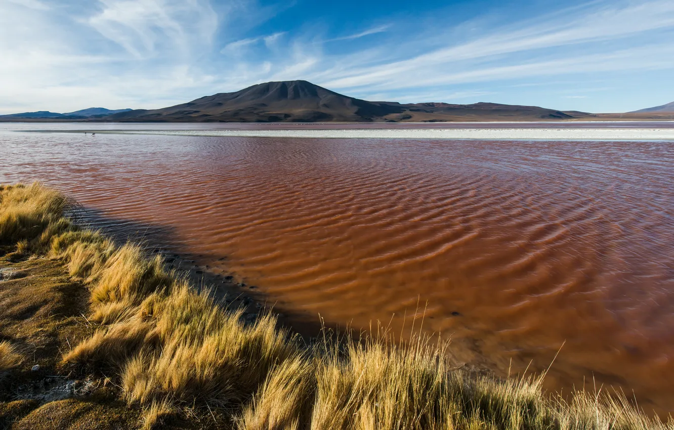 Фото обои пейзаж, Bolivia, Laguna Colorada