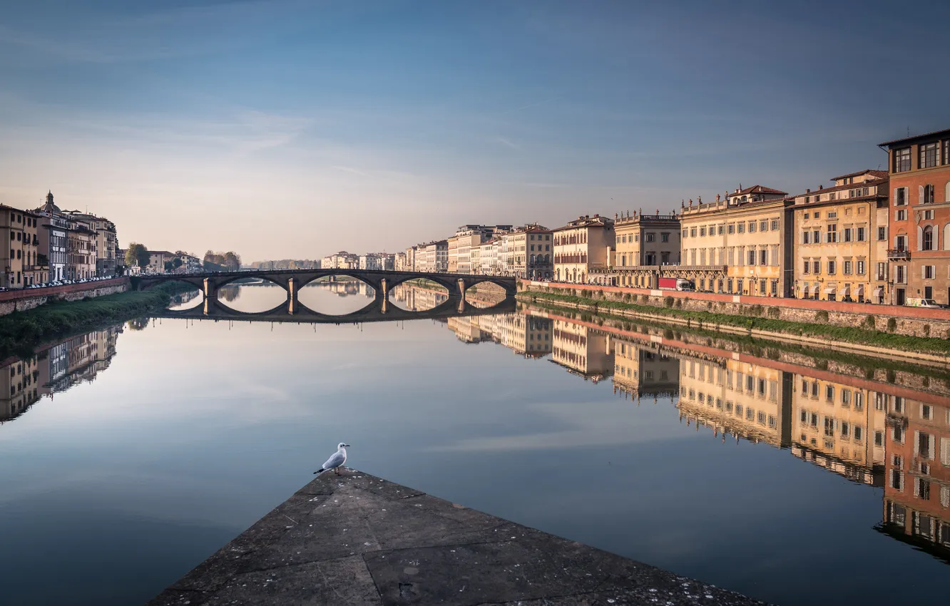 Фото обои Florence, architecture, river Arno