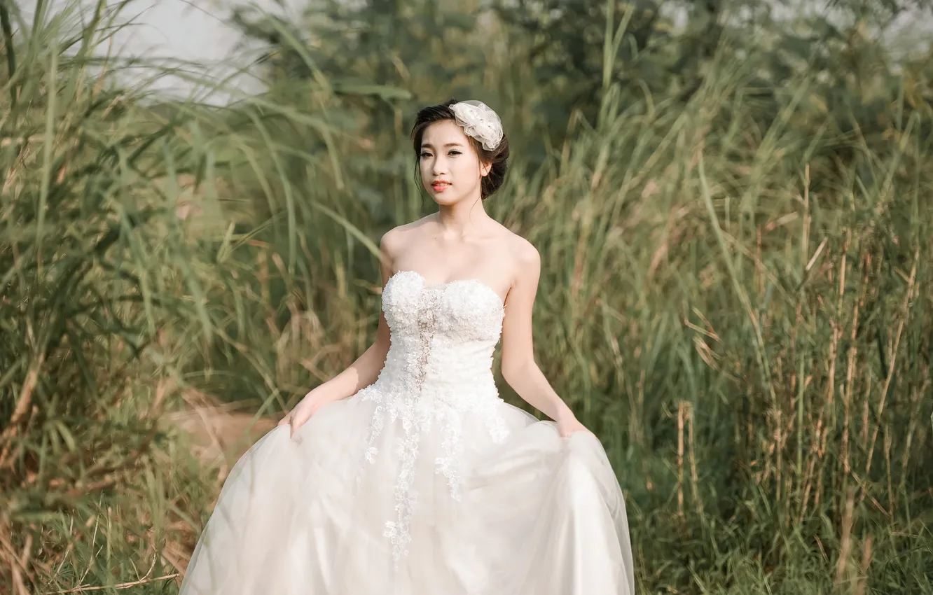Фото обои портрет, платье, невеста, восточная