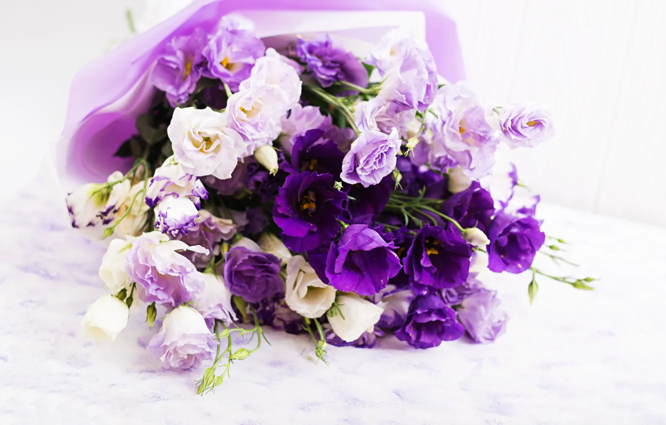 Фото обои белый, цветы, фон, фиолетовые, лента, эустома, Timolina