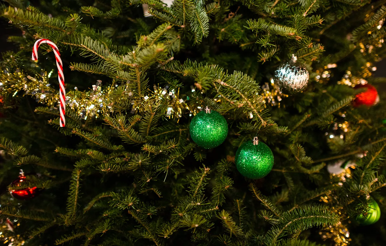 Фото обои зима, шарики, ветки, игрушки, елка, ель, Новый Год, зеленые
