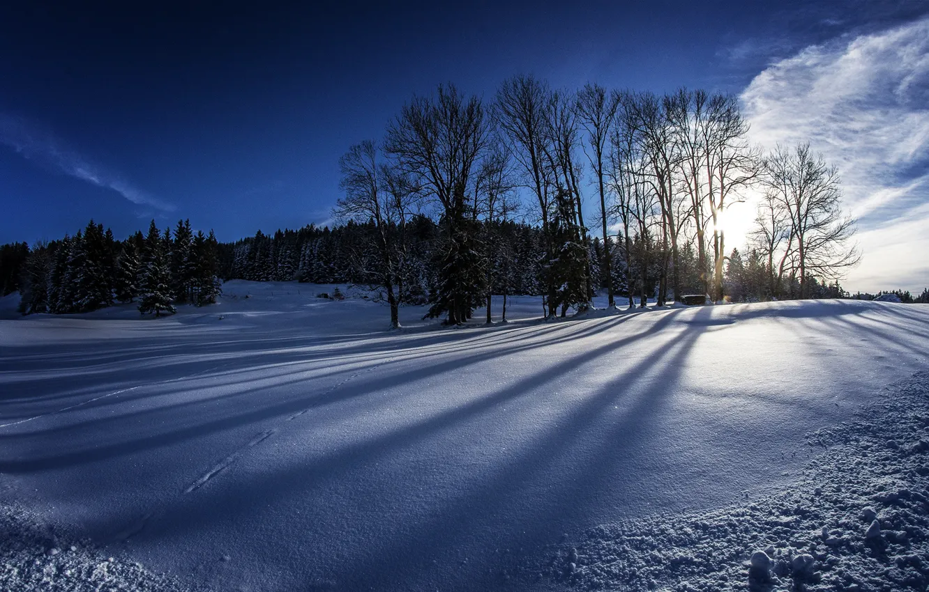 Фото обои зима, поле, лес, небо, солнце, облака, снег, деревья
