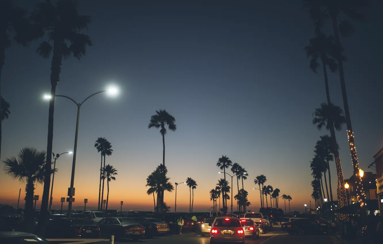Фото обои дорога, машины, город, пальмы, вечер, Balboa Peninsula, Newport Beach