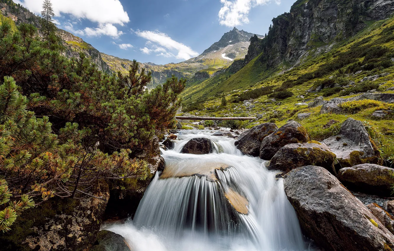 Фото обои горы, река, камни, водопад, Австрия, Альпы, сосны, Austria