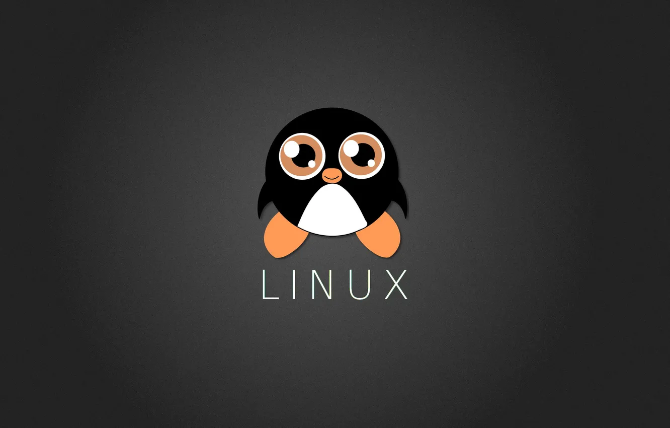 Фото обои Linux, Tux, Penguin
