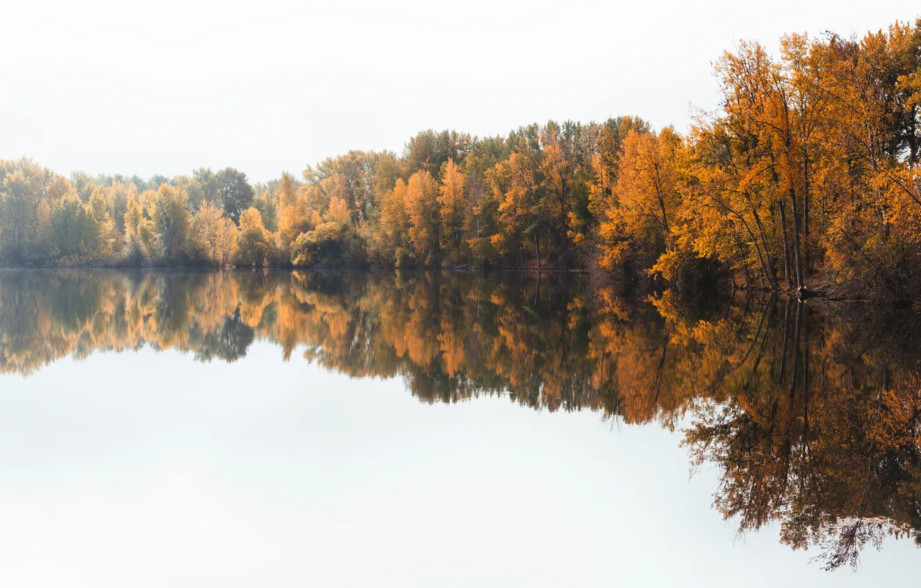 Фото обои осень, небо, деревья, озеро, отражение, зеркало, солнечный свет