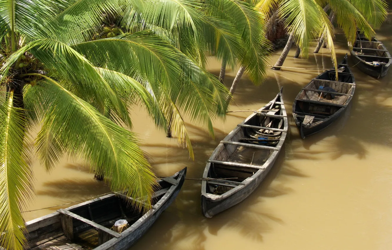 Фото обои вода, тропики, пальмы, лодки