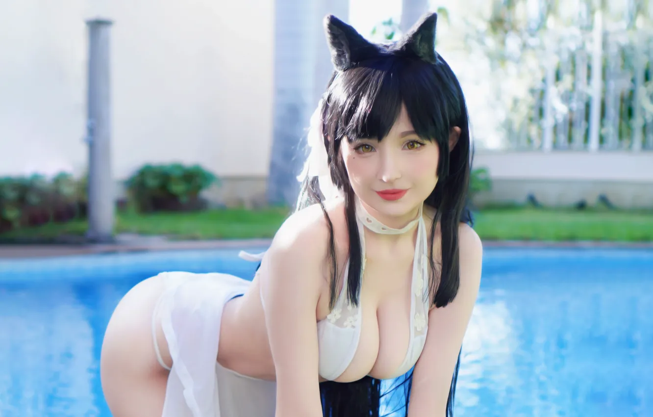 Фото обои girl, sexy, cleavage, long hair, dress, boobs, animal ears, smile