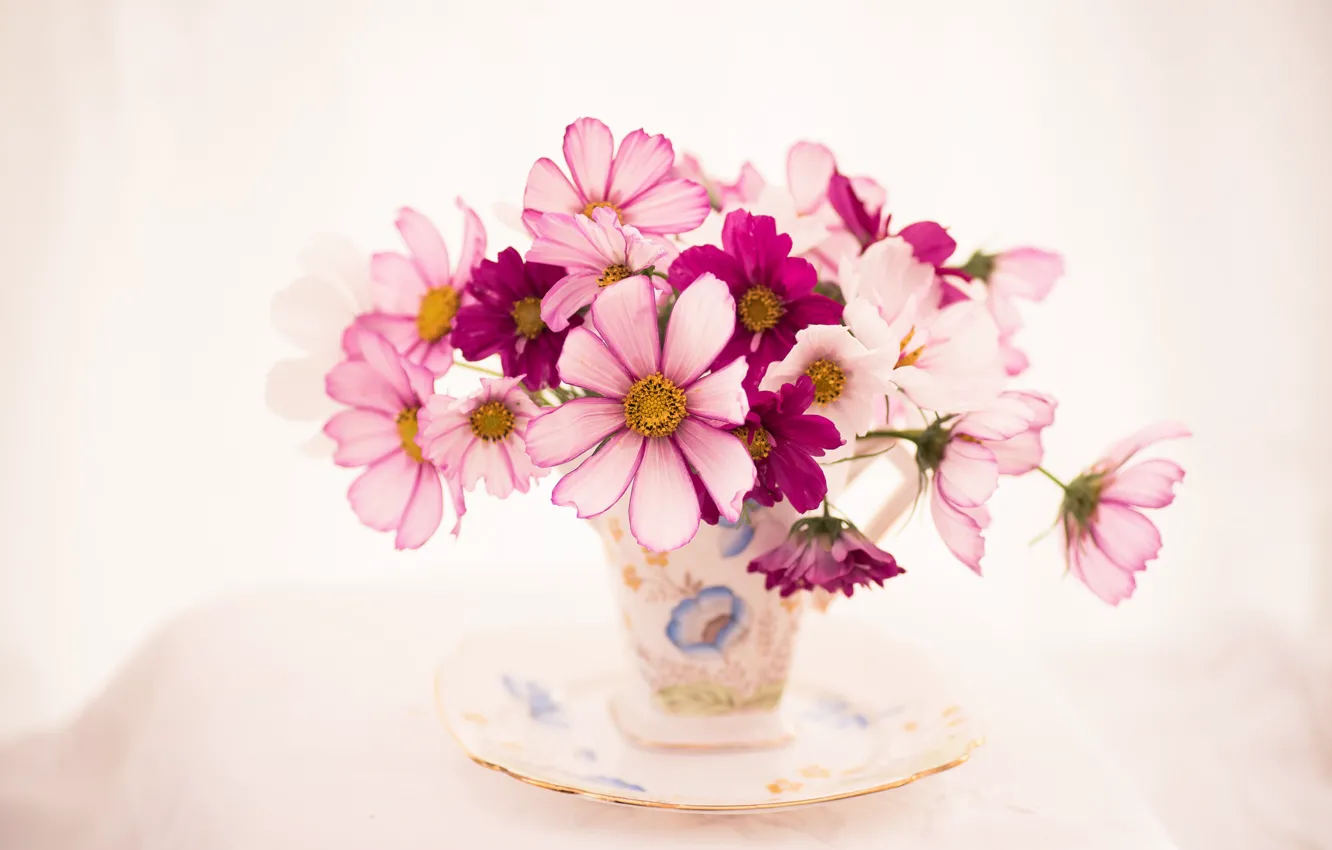 Фото обои космос, чашка, блюдце, букетик, космея