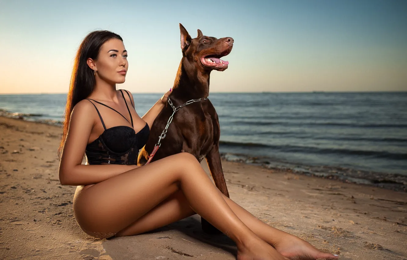 Фото обои песок, море, пляж, девушка, поза, собака, ножки, Сергей Гокк