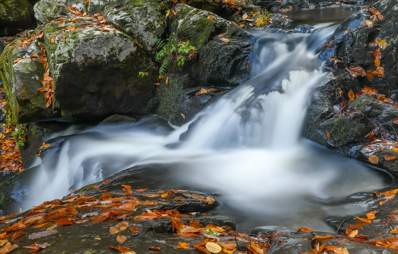 Фото обои осень, листья, камни, водопад, поток, осенние