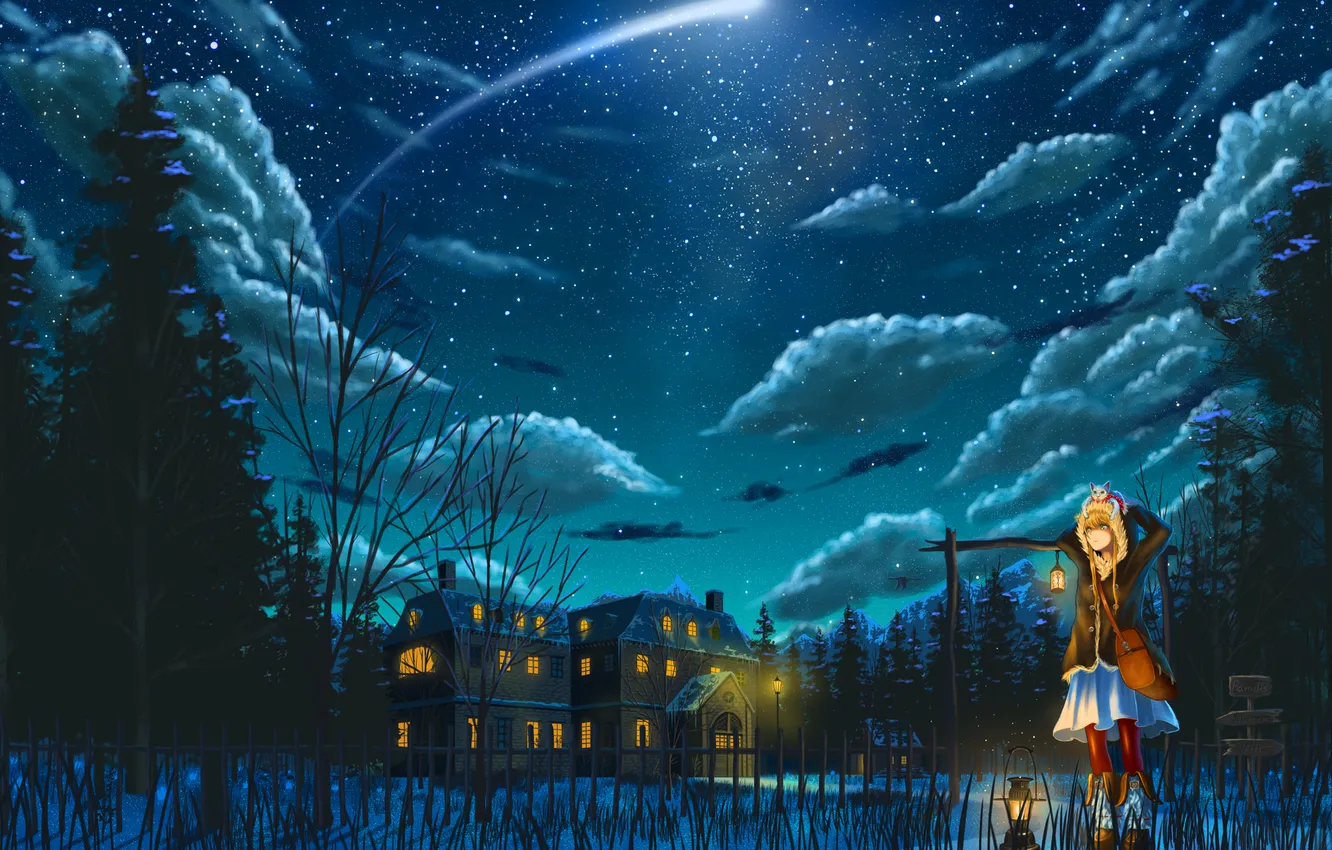 Фото обои кот, звезды, облака, снег, ночь, огни, дом, котенок
