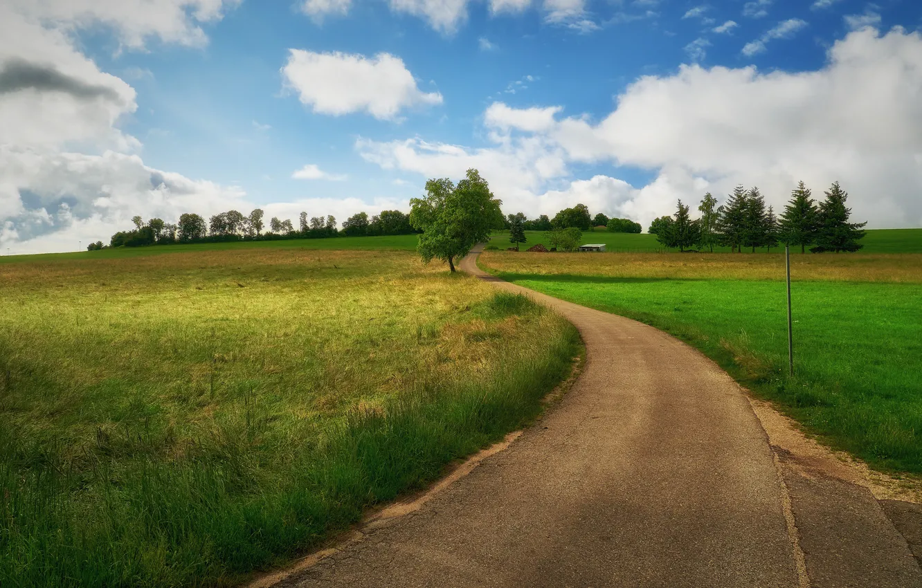 Фото обои дорога, зелень, поле, лето, небо, трава, облака, деревья