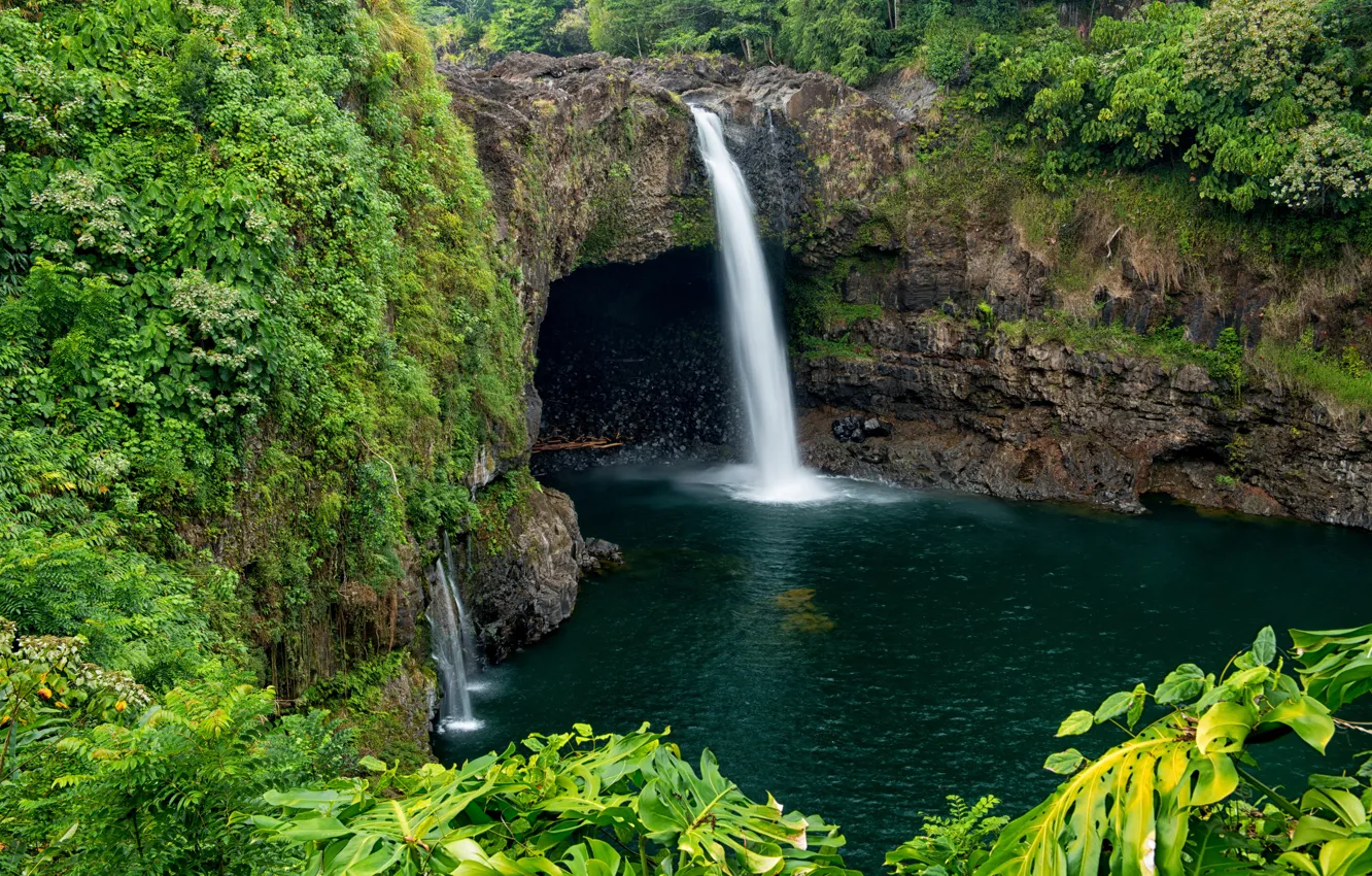 Фото обои зелень, скала, тропики, камни, водопад, Гавайи, Hilo, Wailuku River State Park