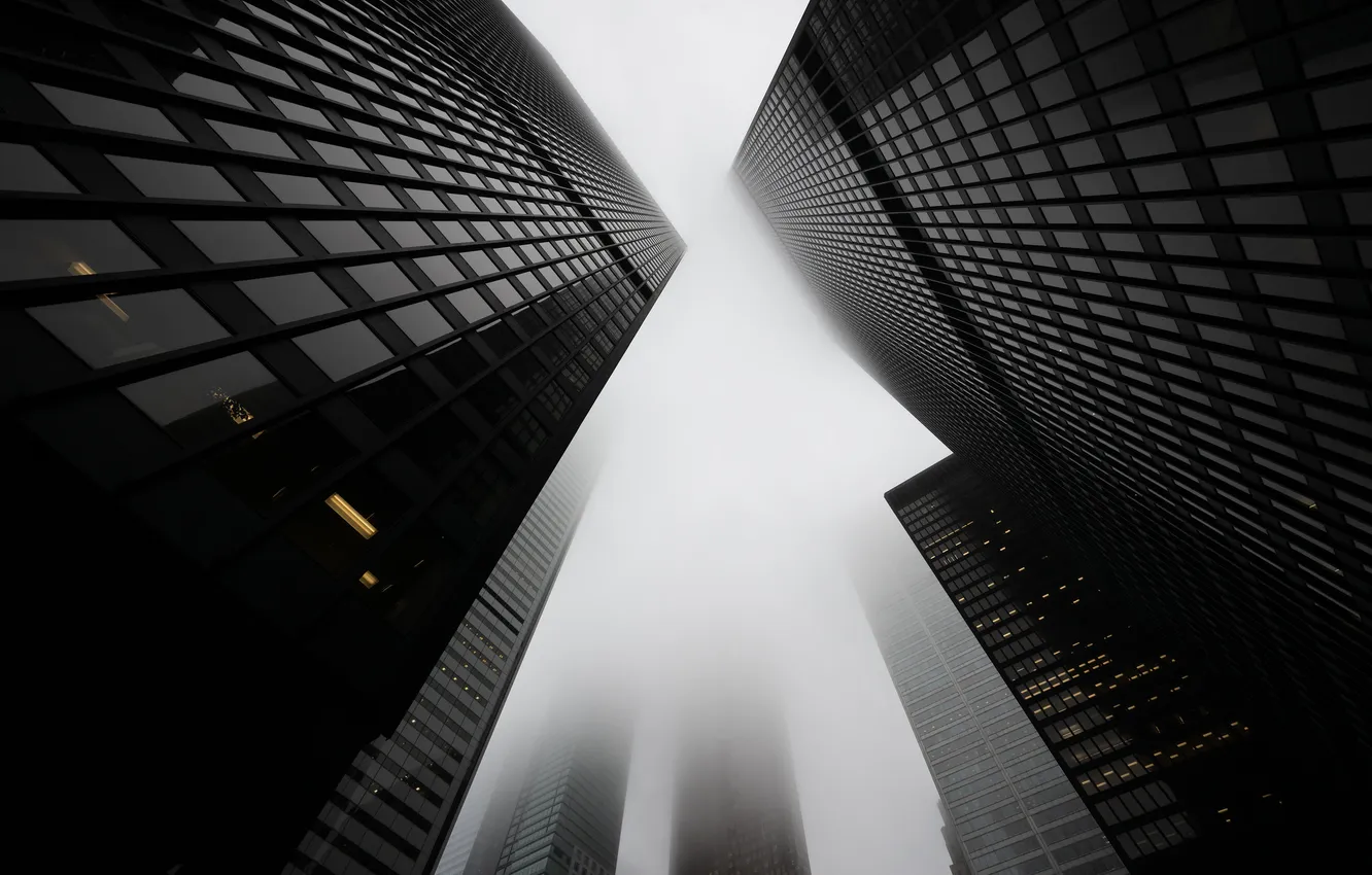 Фото обои город, туман, улица