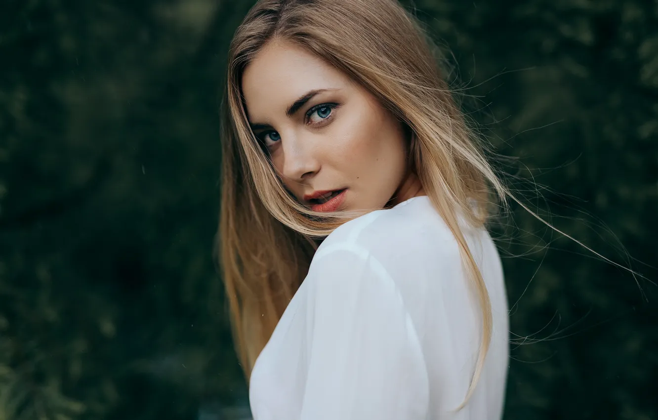 Фото обои взгляд, лицо, фон, красавица