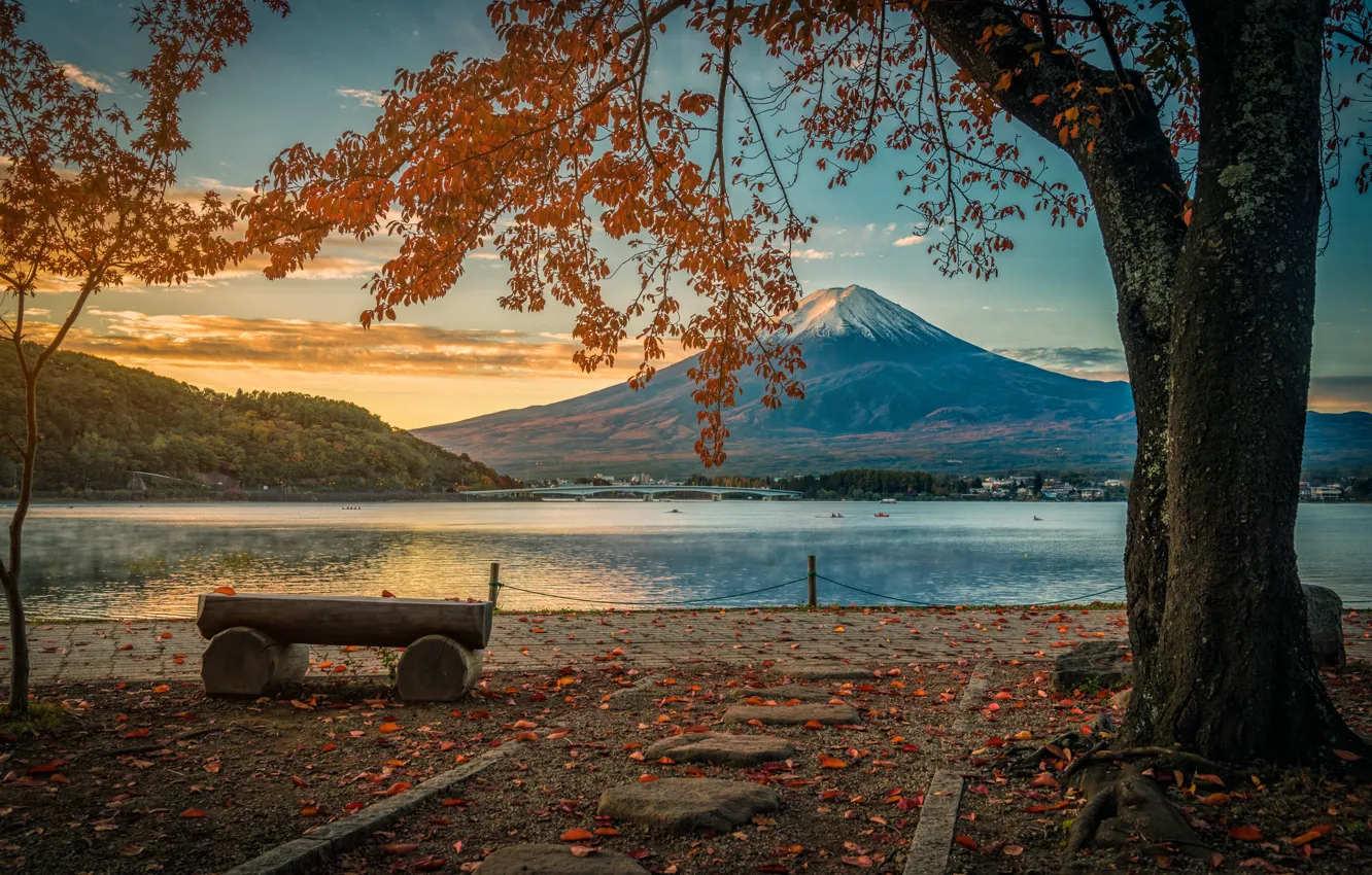 Фото обои осень, листья, деревья, парк, colorful, Япония, Japan, гора Фуджи