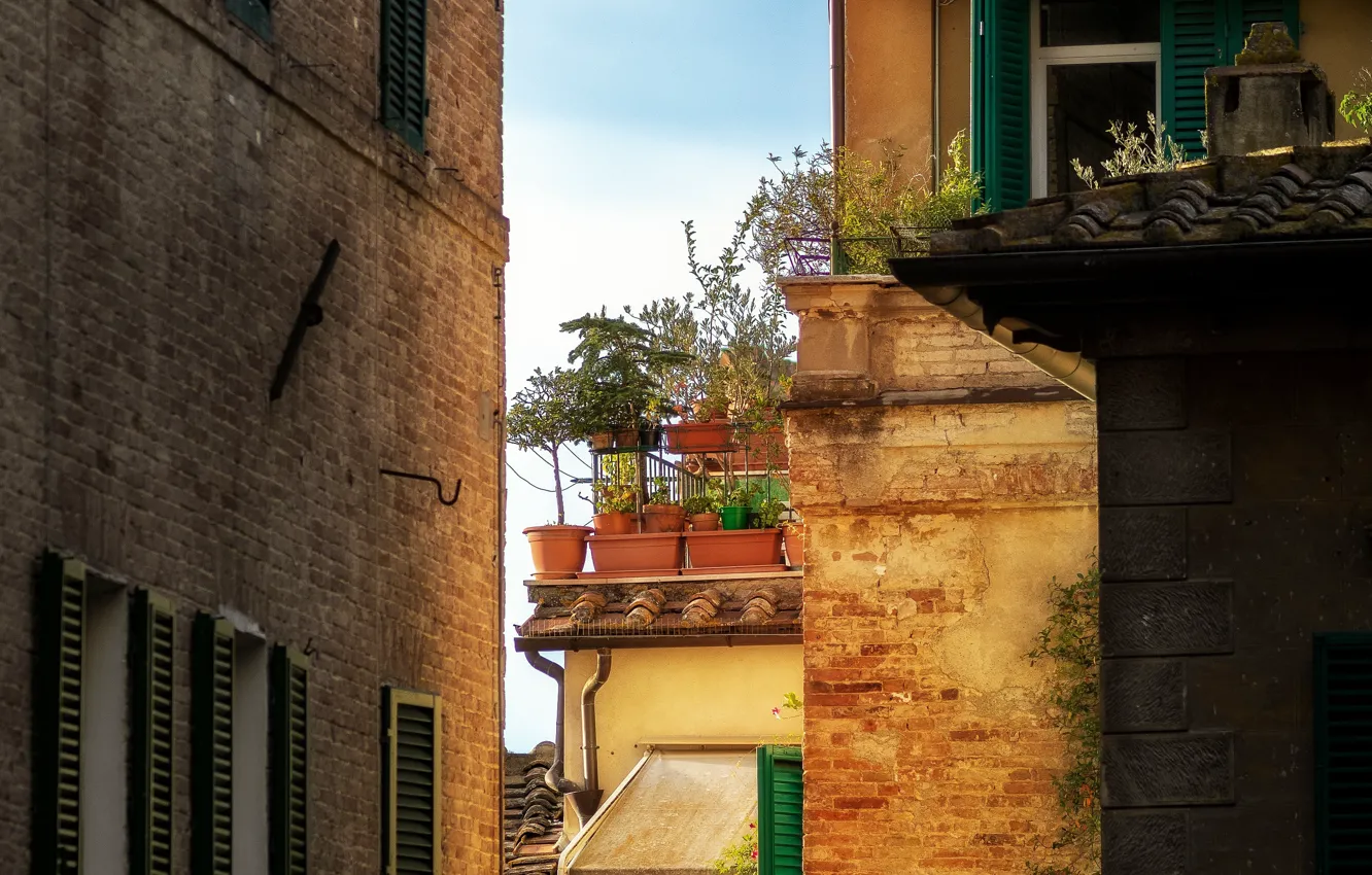 Фото обои Улочка, Италия, Растения, Italy, Street, Тоскана, Italia, Toscana