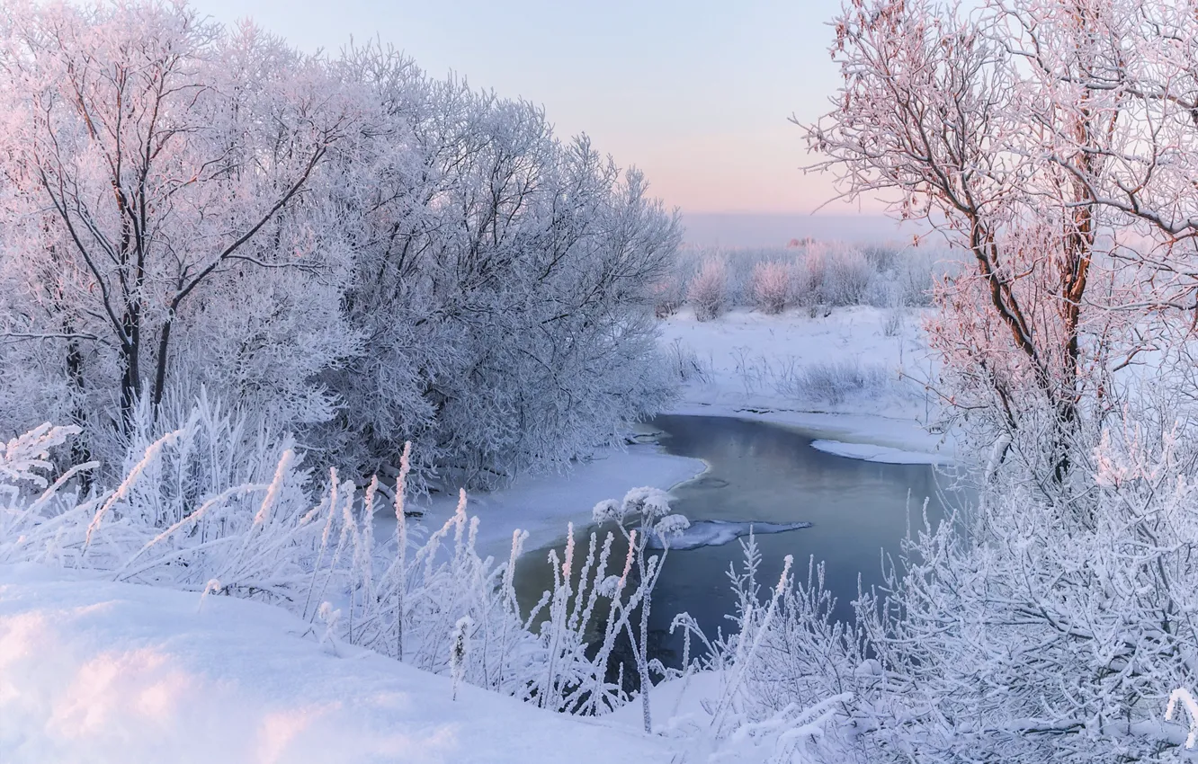 Фото обои зима, иней, снег, деревья, пейзаж, природа, река, утро