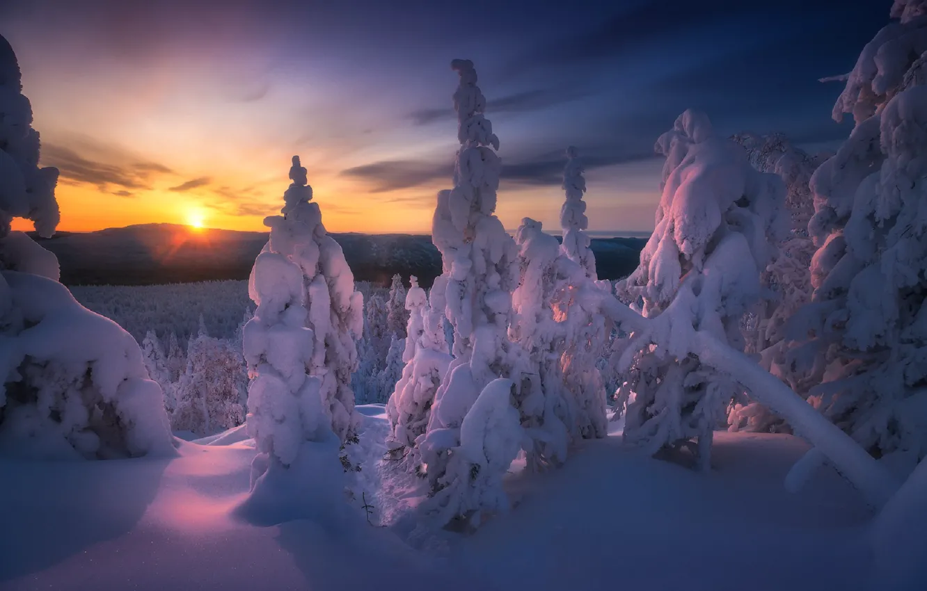 Фото обои зима, лес, небо, снег, деревья, закат, горы, Владимир Ляпин