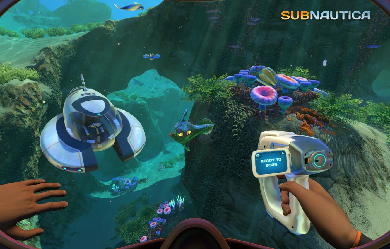 Фото обои рыбы, дно, прибор, Subnautica Released Today