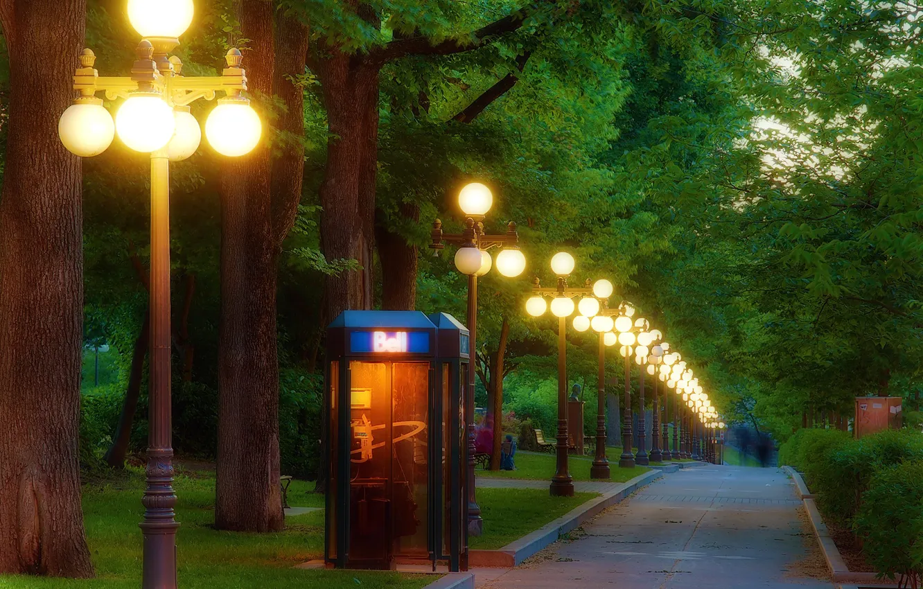 Фото обои свет, деревья, огни, парк, вечер, фонари, дорожка, будка