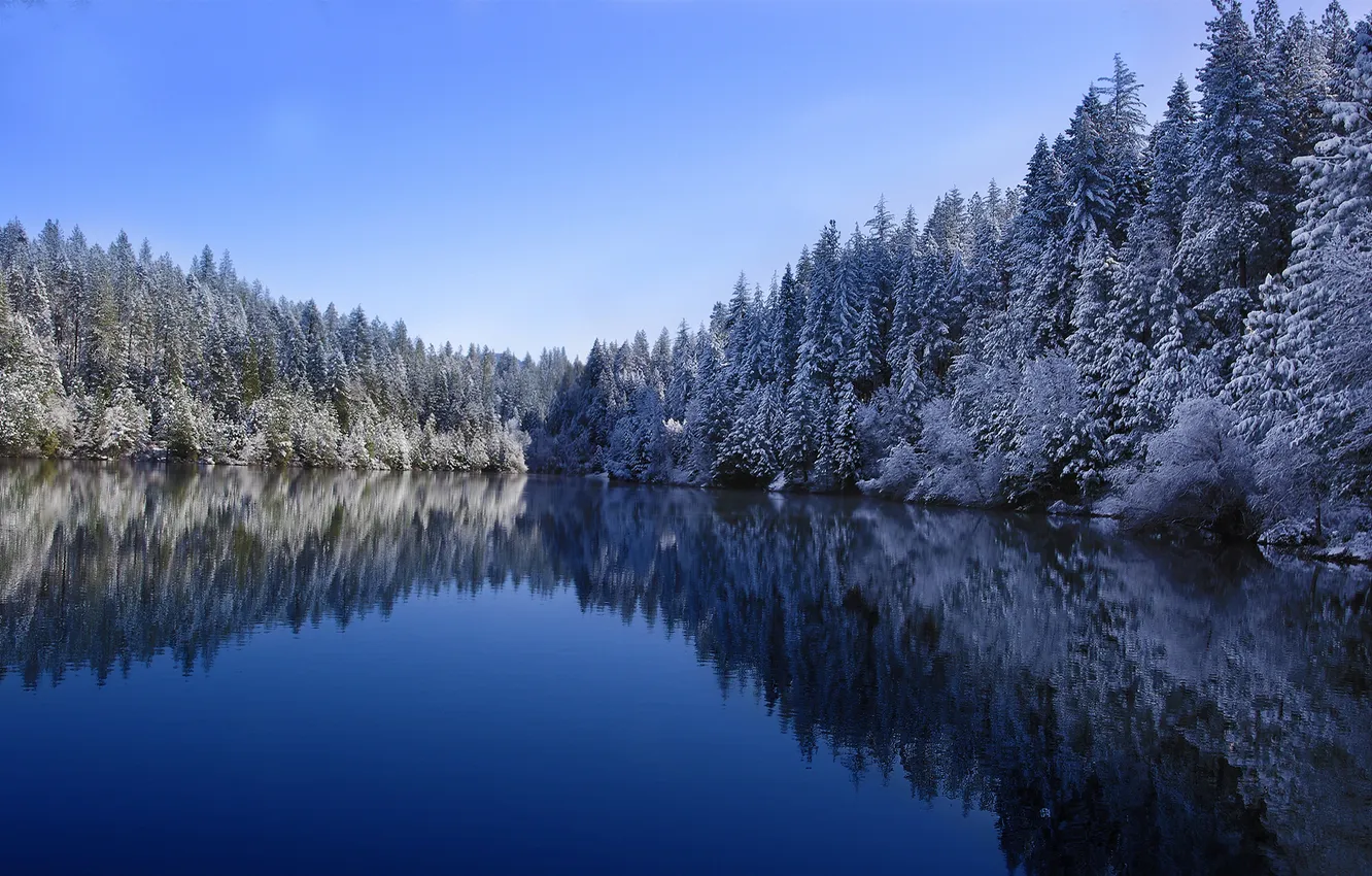 Фото обои зима, лес, снег, озеро, Природа