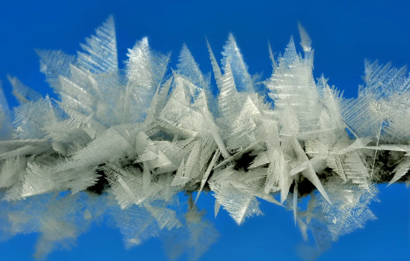 Фото обои лед, зима, иней, природа, мороз