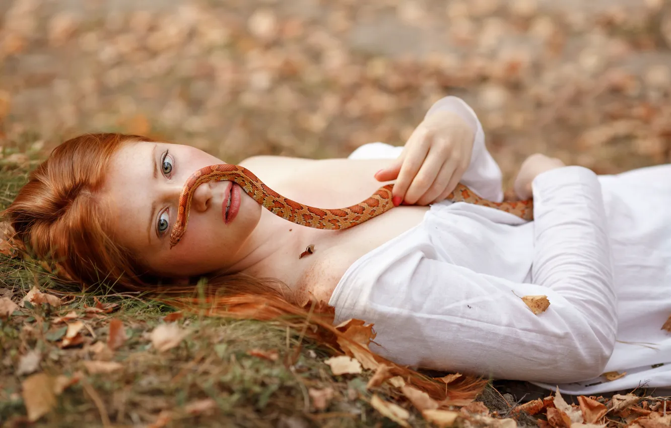 Фото обои осень, взгляд, листья, девушка, лицо, настроение, змея, рыжая