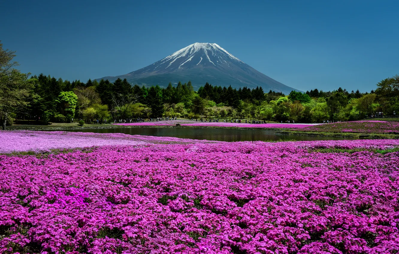 Фото обои небо, солнце, деревья, цветы, пруд, парк, гора, Япония