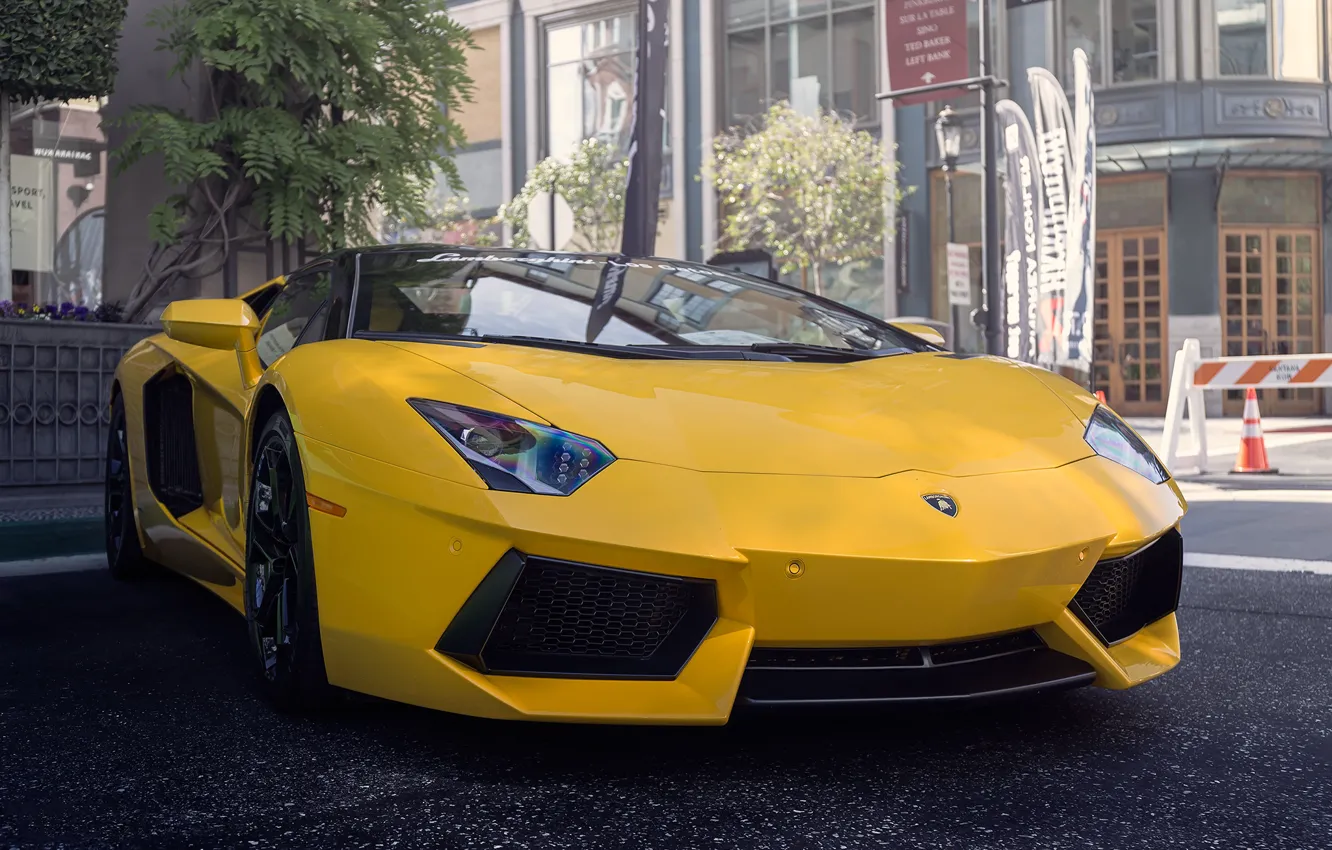 Фото обои Lamborghini, yellow, street, Aventador