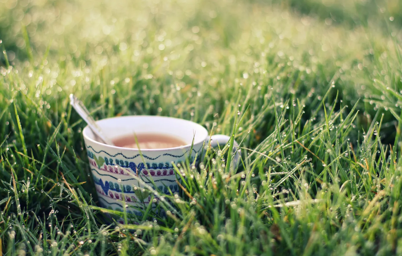Фото обои трава, капли, чай, ложка, кружка