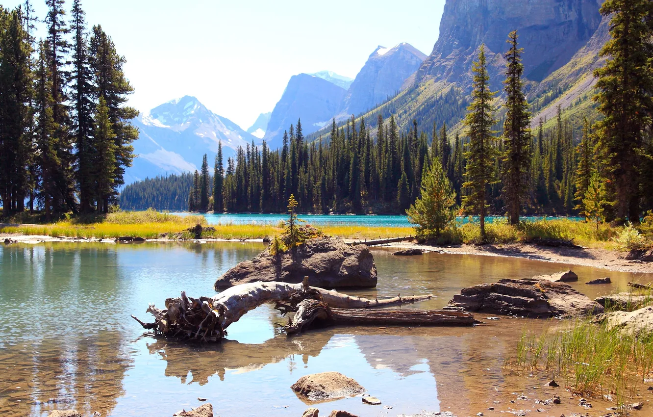Фото обои лес, деревья, горы, озеро, камни, скалы, Alberta, Canada