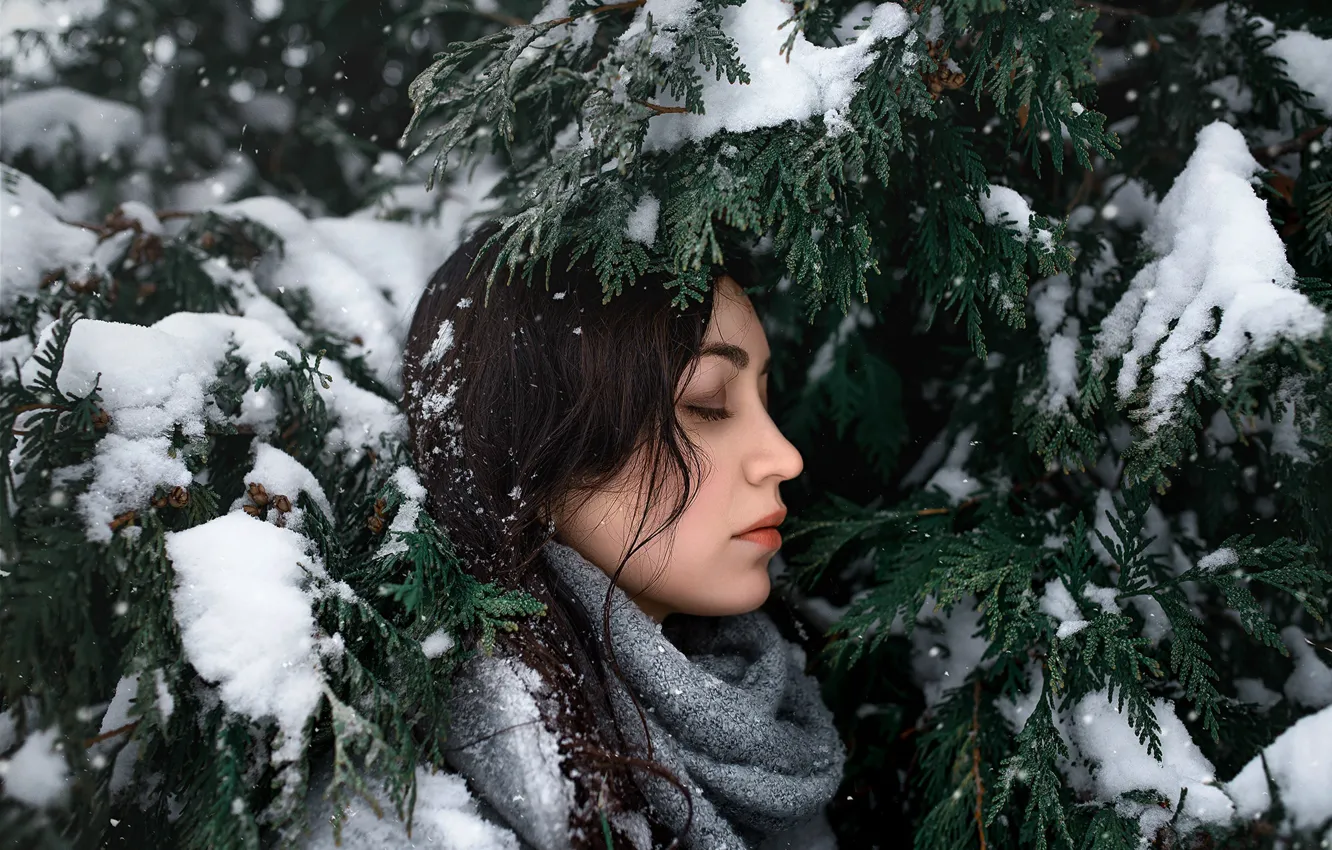 Фото обои девушка, снег, ветки, лицо, green, милая, модель, портрет