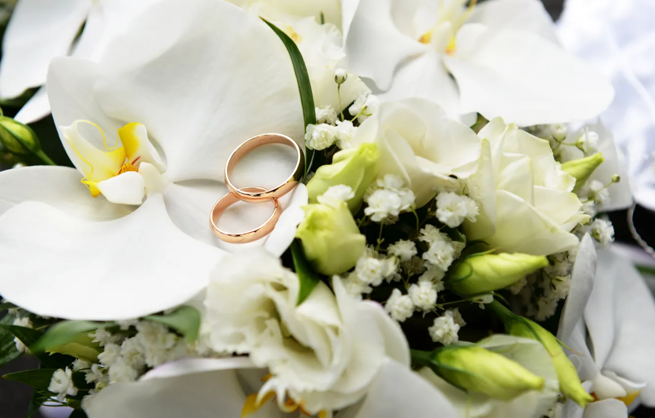 Фото обои цветы, розы, кольца, орхидея, свадьба, White, Orchid, Ring