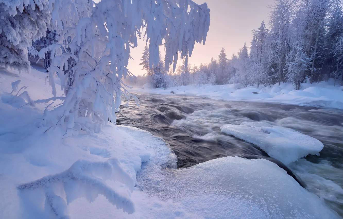 Фото обои зима, лес, снег, деревья, пейзаж, природа, река, мороз