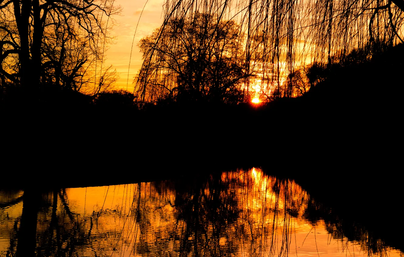 Фото обои Winter, Sun, Water, Sunset, Park, Golden, Evening, Sunshine