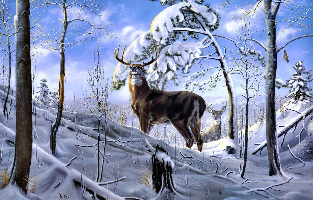 Фото обои зима, лес, снег, деревья, олень, арт, Charles H. Denault