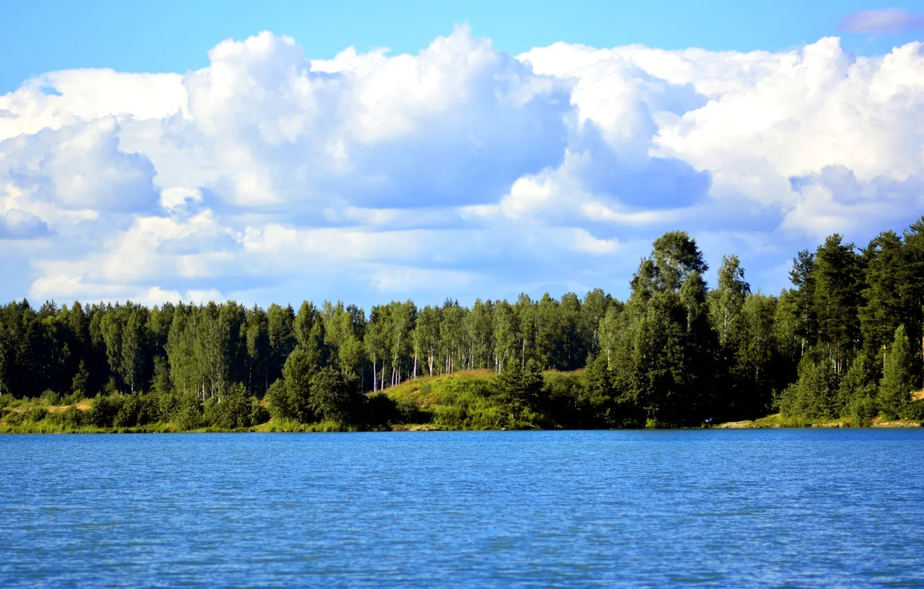 Фото обои лес, лето, облака, деревья, озеро, берег