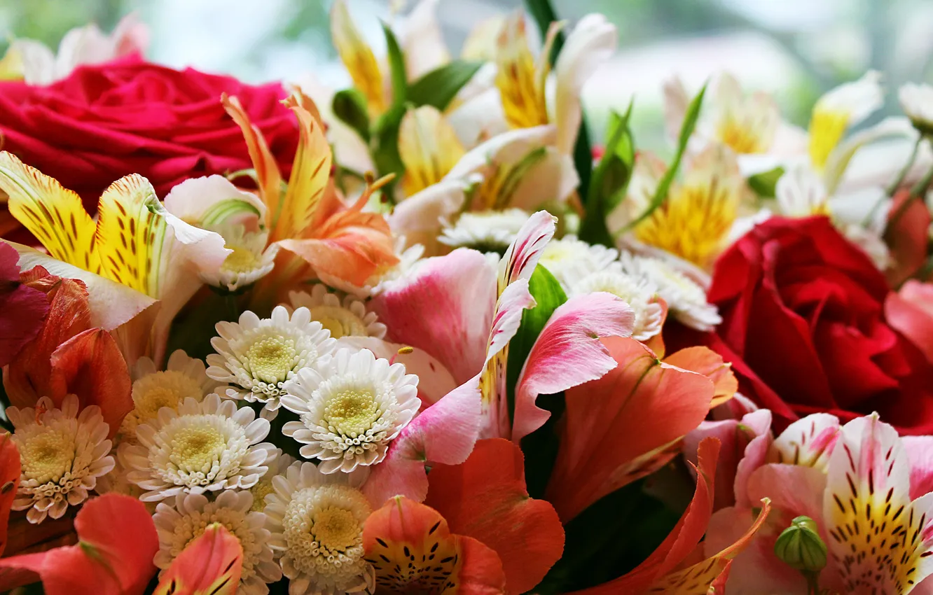 Фото обои роза, букет, цветник, цветочное ассорти
