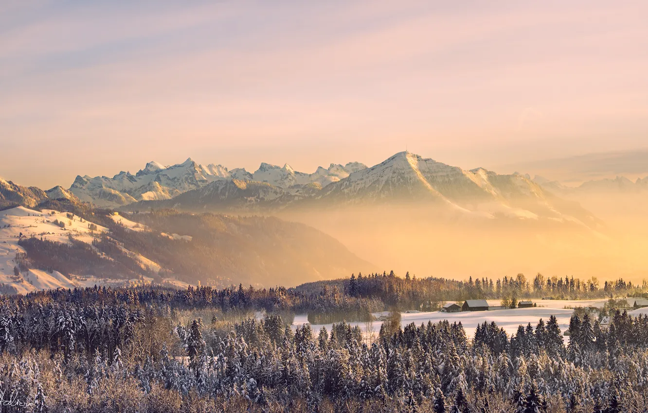Фото обои зима, лес, небо, солнце, снег, горы, природа, туман