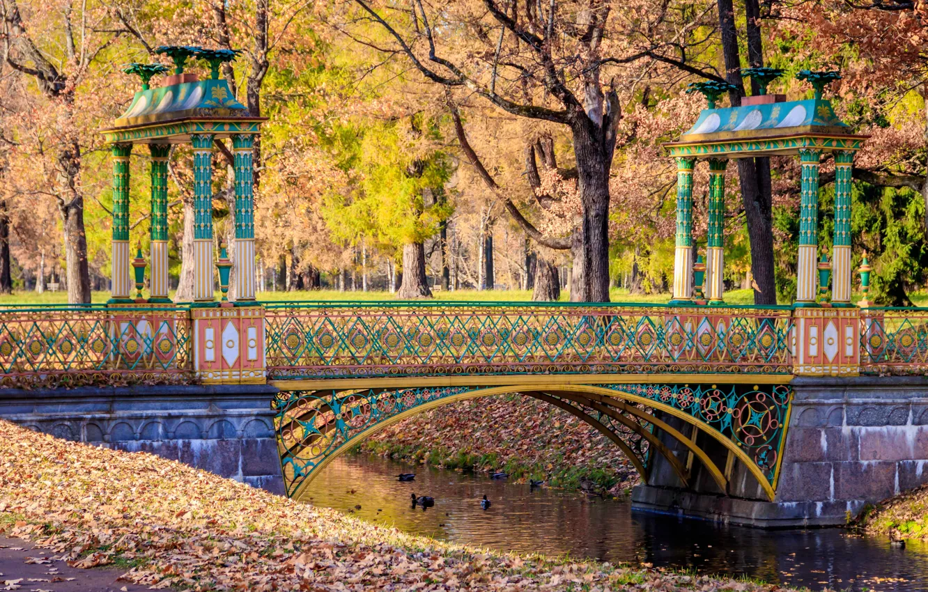 Фото обои осень, листья, деревья, мост, парк, река, colorful, river